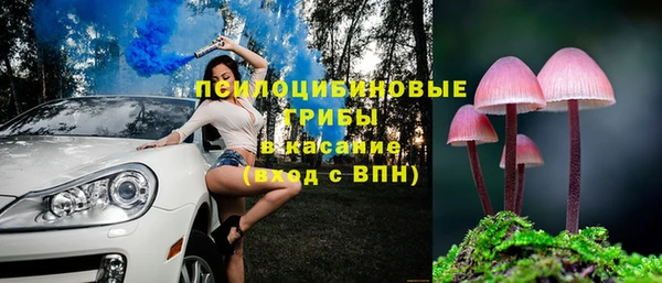 сатива Переславль-Залесский